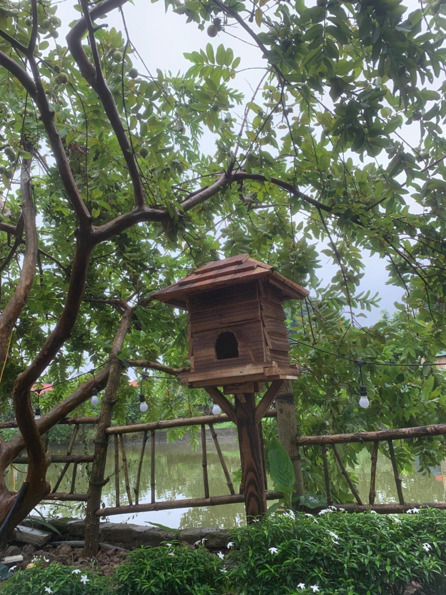 Peaceful Refuge Homestay Νιν Μπιν Εξωτερικό φωτογραφία